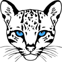 The package icon